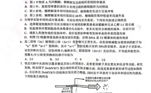 山东省2026届普通高中学业水平4月调研生物试卷（含答案）_2024-2026高三（6-6月题库）_2026年04月高三试卷_260405山东省2026年普通高中学业水平4月调研