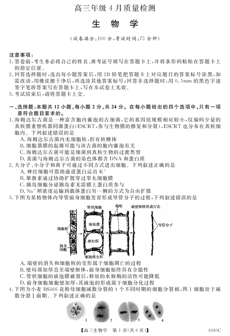 天壹名校联盟2026届高三年级4月质量检测生物_2024-2026高三（6-6月题库）_2026年04月高三试卷_260424湖南省天壹名校联盟2026届高三年级4月质量检测（6360C）（全科）