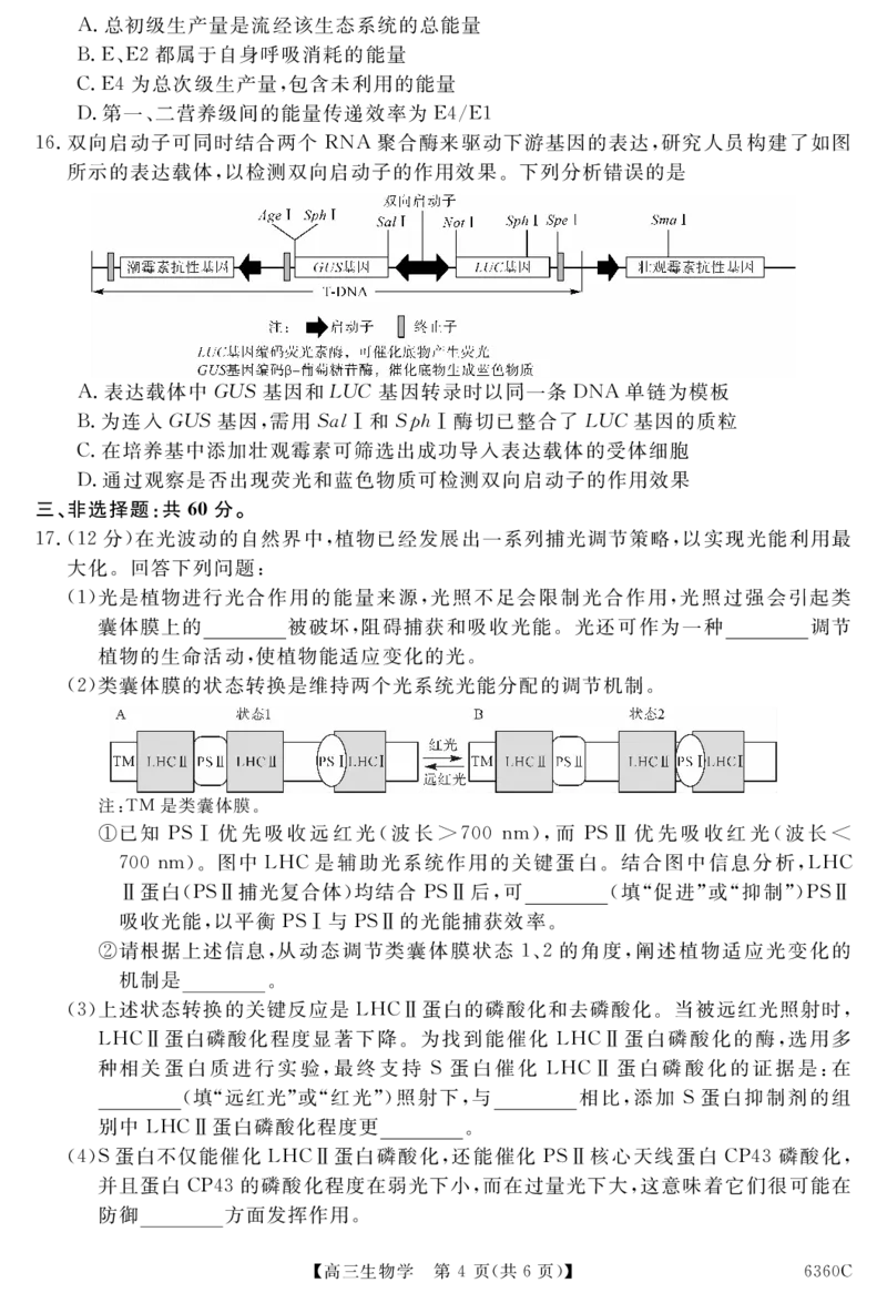 天壹名校联盟2026届高三年级4月质量检测生物_2024-2026高三（6-6月题库）_2026年04月高三试卷_260424湖南省天壹名校联盟2026届高三年级4月质量检测（6360C）（全科）