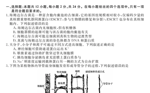 天壹名校联盟2026届高三年级4月质量检测生物_2024-2026高三（6-6月题库）_2026年04月高三试卷_260424湖南省天壹名校联盟2026届高三年级4月质量检测（6360C）（全科）