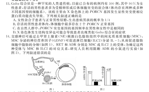 天壹名校联盟2026届高三年级4月质量检测生物_2024-2026高三（6-6月题库）_2026年04月高三试卷_260424湖南省天壹名校联盟2026届高三年级4月质量检测（6360C）（全科）