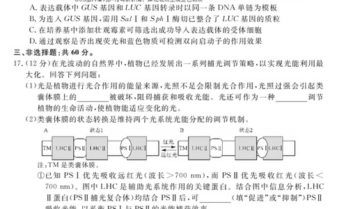 天壹名校联盟2026届高三年级4月质量检测生物_2024-2026高三（6-6月题库）_2026年04月高三试卷_260424湖南省天壹名校联盟2026届高三年级4月质量检测（6360C）（全科）
