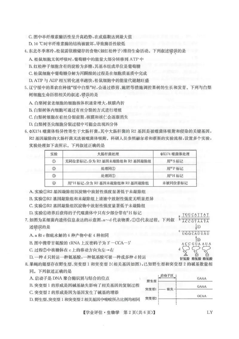 九师联盟2026届高三下学期4月学业评估生物_2024-2026高三（6-6月题库）_2026年04月高三试卷_260413九师联盟2026届高三下学期4月学业评估（全科）