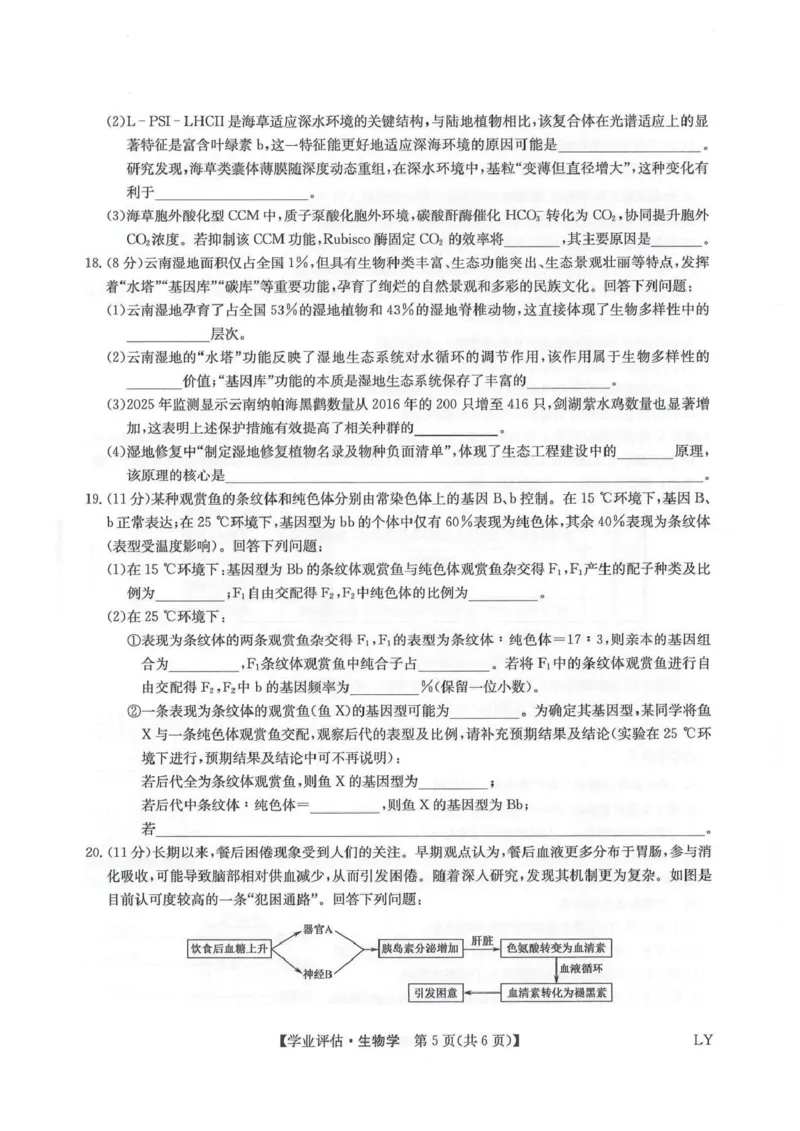 九师联盟2026届高三下学期4月学业评估生物_2024-2026高三（6-6月题库）_2026年04月高三试卷_260413九师联盟2026届高三下学期4月学业评估（全科）