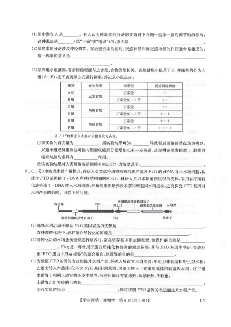 九师联盟2026届高三下学期4月学业评估生物_2024-2026高三（6-6月题库）_2026年04月高三试卷_260413九师联盟2026届高三下学期4月学业评估（全科）