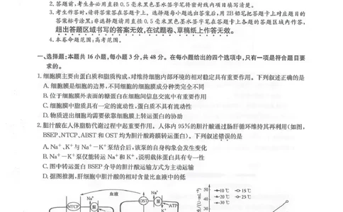 九师联盟2026届高三下学期4月学业评估生物_2024-2026高三（6-6月题库）_2026年04月高三试卷_260413九师联盟2026届高三下学期4月学业评估（全科）
