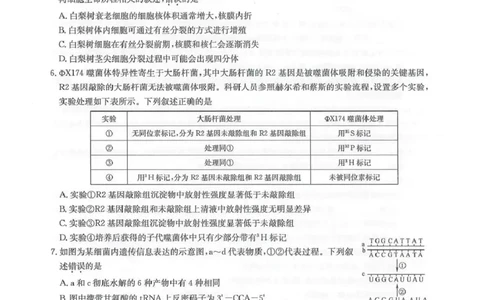 九师联盟2026届高三下学期4月学业评估生物_2024-2026高三（6-6月题库）_2026年04月高三试卷_260413九师联盟2026届高三下学期4月学业评估（全科）