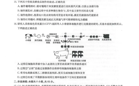 九师联盟2026届高三下学期4月学业评估生物_2024-2026高三（6-6月题库）_2026年04月高三试卷_260413九师联盟2026届高三下学期4月学业评估（全科）