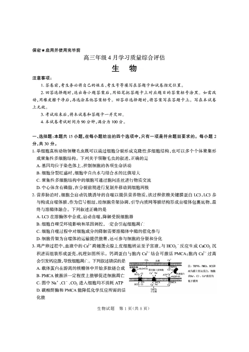 德州市高三年级4月学习质量综合评估生物_2024-2026高三（6-6月题库）_2026年04月高三试卷_260426山东省德州市高三年级4月学习质量综合评估（德州二模）（全科）