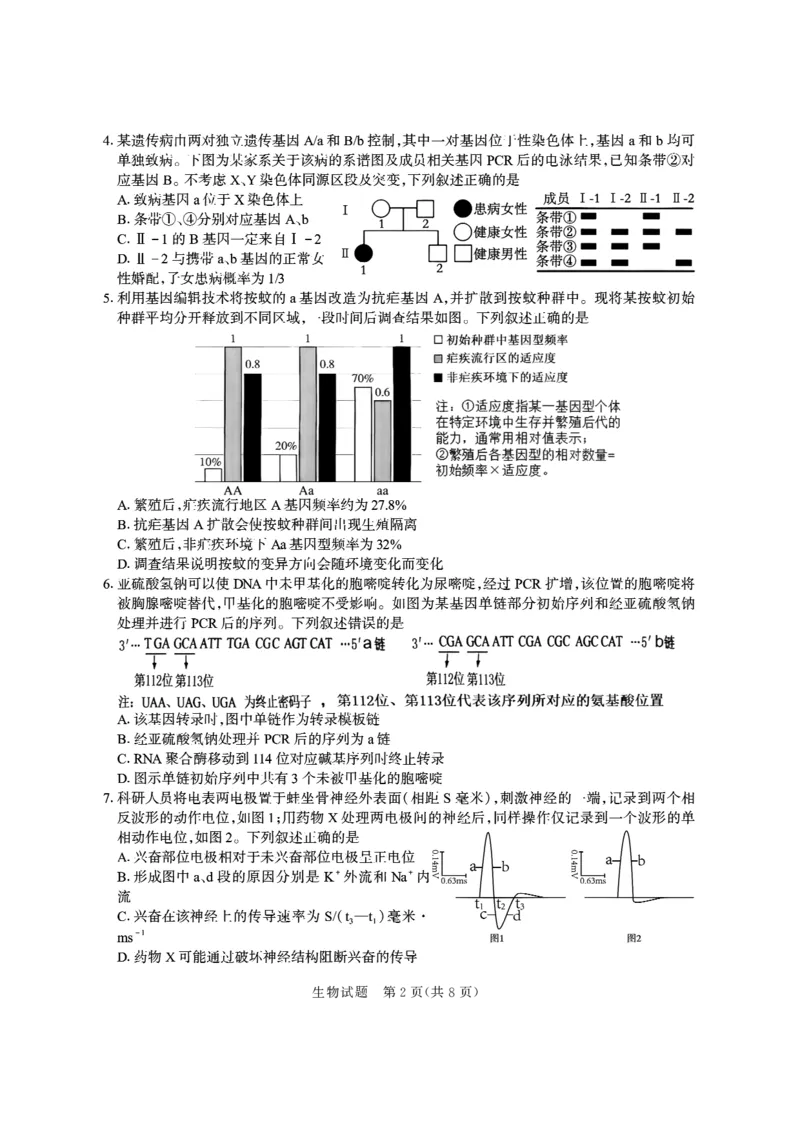 德州市高三年级4月学习质量综合评估生物_2024-2026高三（6-6月题库）_2026年04月高三试卷_260426山东省德州市高三年级4月学习质量综合评估（德州二模）（全科）