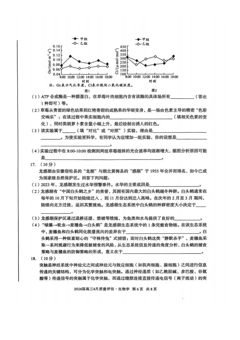 安徽省1号卷A10联盟2026届高三4月质量评估联考生物_2024-2026高三（6-6月题库）_2026年04月高三试卷_260414安徽省A10联盟2026届高三4月质量评估联考(全科）