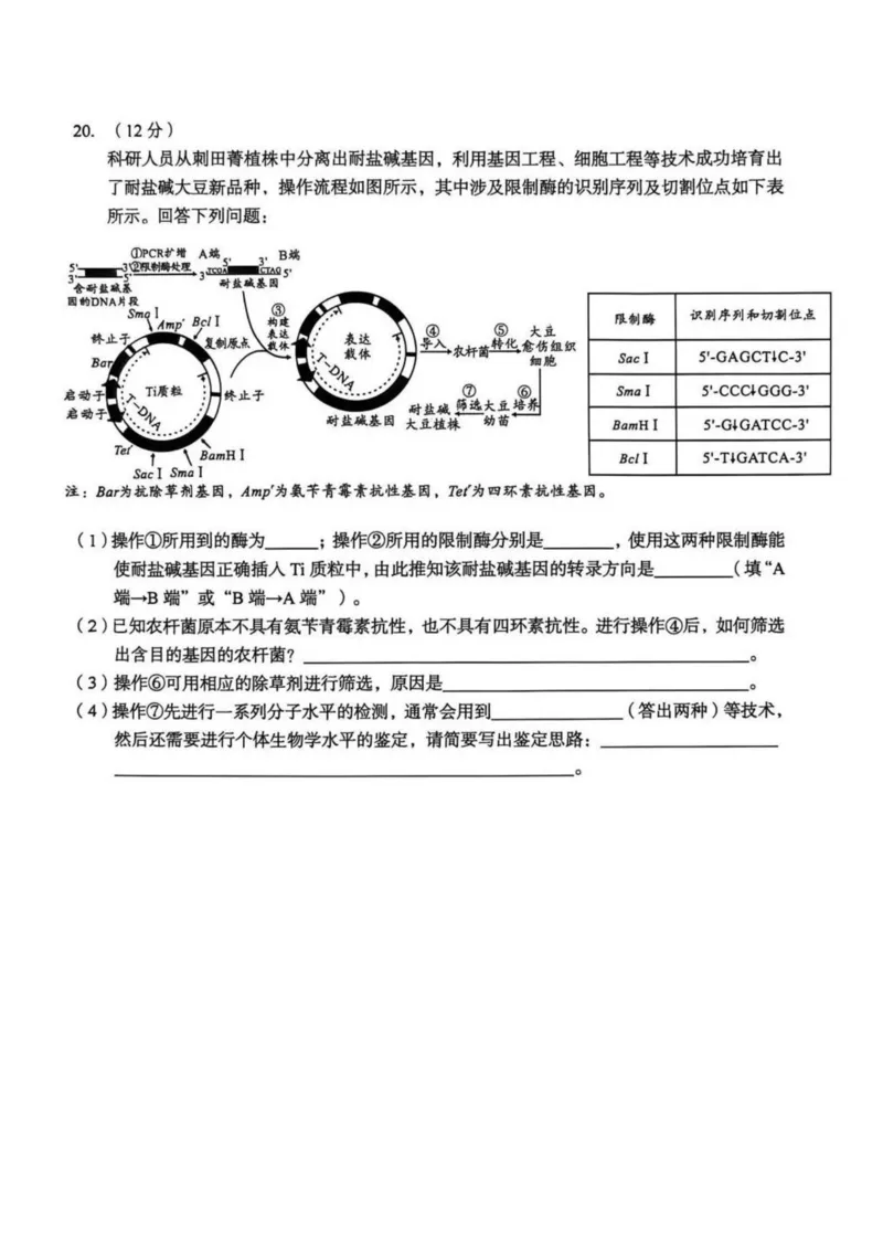 安徽省1号卷A10联盟2026届高三4月质量评估联考生物_2024-2026高三（6-6月题库）_2026年04月高三试卷_260414安徽省A10联盟2026届高三4月质量评估联考(全科）