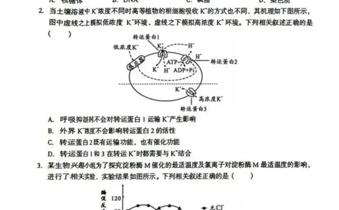 安徽省1号卷A10联盟2026届高三4月质量评估联考生物_2024-2026高三（6-6月题库）_2026年04月高三试卷_260414安徽省A10联盟2026届高三4月质量评估联考(全科）