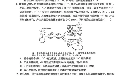 安徽省1号卷A10联盟2026届高三4月质量评估联考生物_2024-2026高三（6-6月题库）_2026年04月高三试卷_260414安徽省A10联盟2026届高三4月质量评估联考(全科）