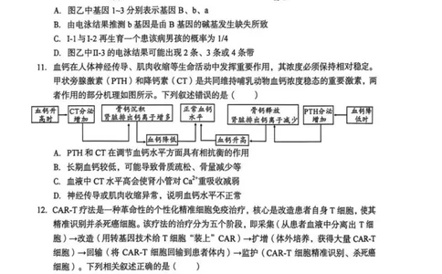 安徽省1号卷A10联盟2026届高三4月质量评估联考生物_2024-2026高三（6-6月题库）_2026年04月高三试卷_260414安徽省A10联盟2026届高三4月质量评估联考(全科）