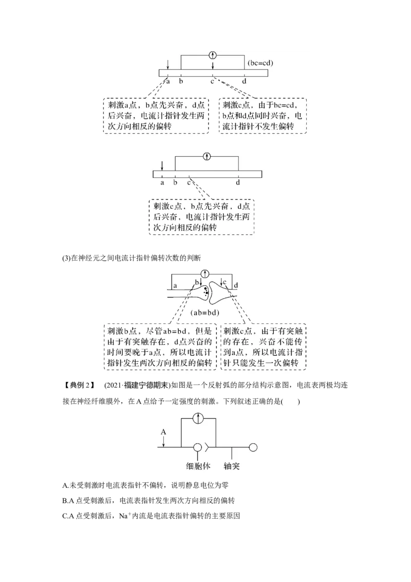 微专题13　兴奋传导与传递的相关实验探究_新高考复习资料_2023年新高考复习资料_一轮复习_2023年新高考大一轮复习讲义_2023年高考生物一轮复习讲义（新人教新高考）_赠补充习题