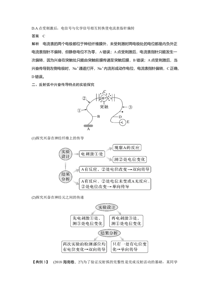 微专题13　兴奋传导与传递的相关实验探究_新高考复习资料_2023年新高考复习资料_一轮复习_2023年新高考大一轮复习讲义_2023年高考生物一轮复习讲义（新人教新高考）_赠补充习题