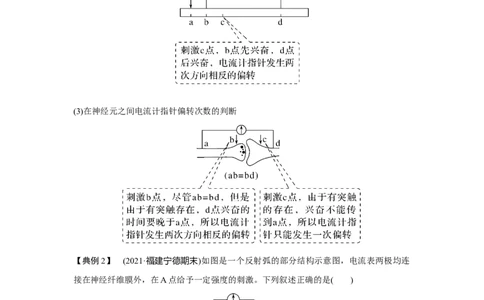 微专题13　兴奋传导与传递的相关实验探究_新高考复习资料_2023年新高考复习资料_一轮复习_2023年新高考大一轮复习讲义_2023年高考生物一轮复习讲义（新人教新高考）_赠补充习题