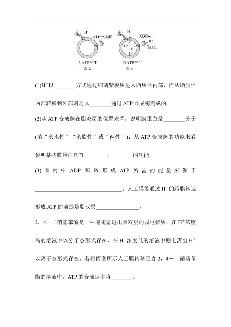 夯基提能练7ATP和酶-备战2023高考生物一轮复习夯基提能练（全国通用）（原卷版）_通用版（老高考）复习资料_2023年复习资料_一轮复习