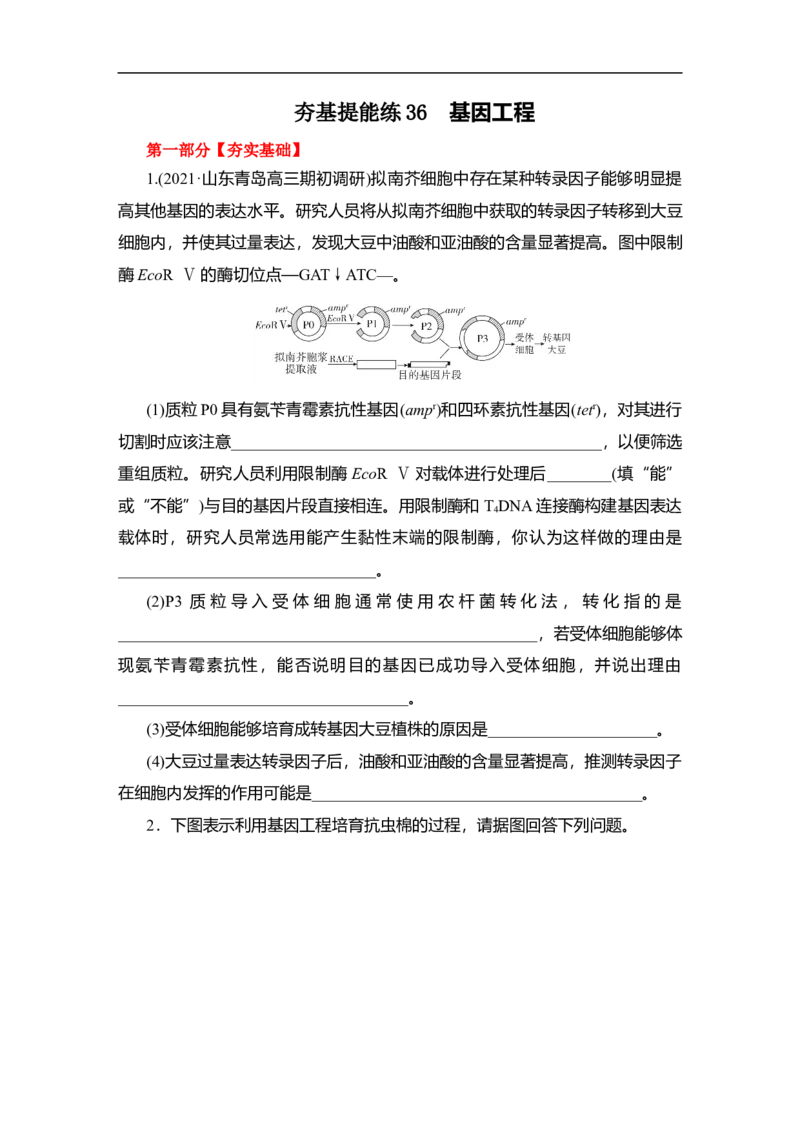 夯基提能练36基因工程-备战2023高考生物一轮复习夯基提能练（全国通用）（原卷版）_通用版（老高考）复习资料_2023年复习资料_一轮复习