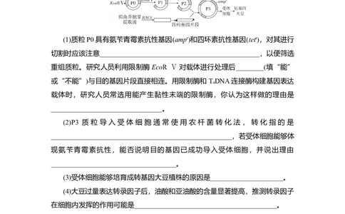 夯基提能练36基因工程-备战2023高考生物一轮复习夯基提能练（全国通用）（原卷版）_通用版（老高考）复习资料_2023年复习资料_一轮复习