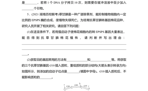 夯基提能练36基因工程-备战2023高考生物一轮复习夯基提能练（全国通用）（原卷版）_通用版（老高考）复习资料_2023年复习资料_一轮复习