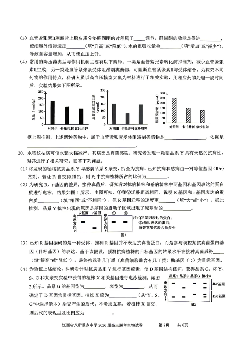 江西省八所重点中学2026届高三联考生物_2024-2026高三（6-6月题库）_2026年04月高三试卷