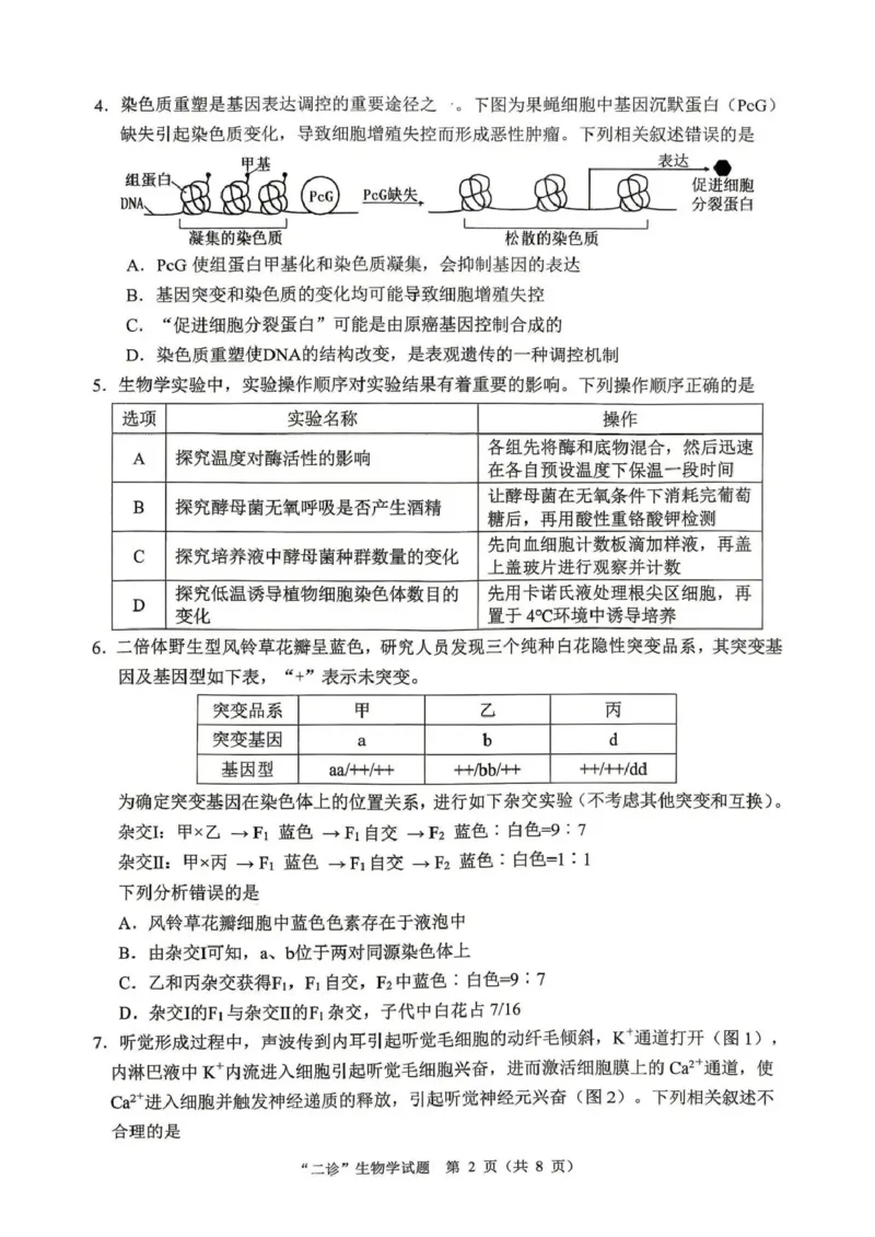 达州市普通高中2026届第二次诊断测试生物_2024-2026高三（6-6月题库）_2026年04月高三试卷_260420四川省达州市普通高中2026届第二次诊断测试（达州二诊）（全科）