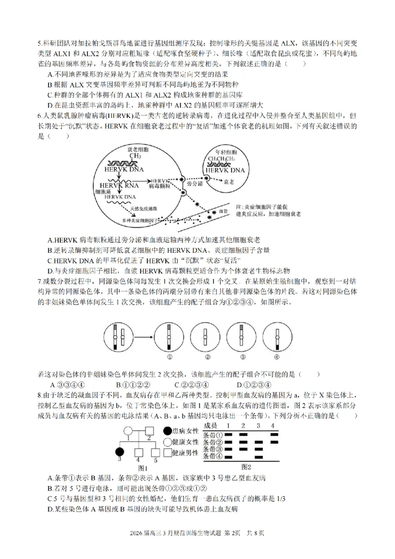 安徽省合肥市一六八中学2026届高三3月份规范训练生物_2024-2026高三（6-6月题库）_2026年03月高三试卷_260317安徽省合肥市一六八中学2026届高三3月份规范训练（全科）