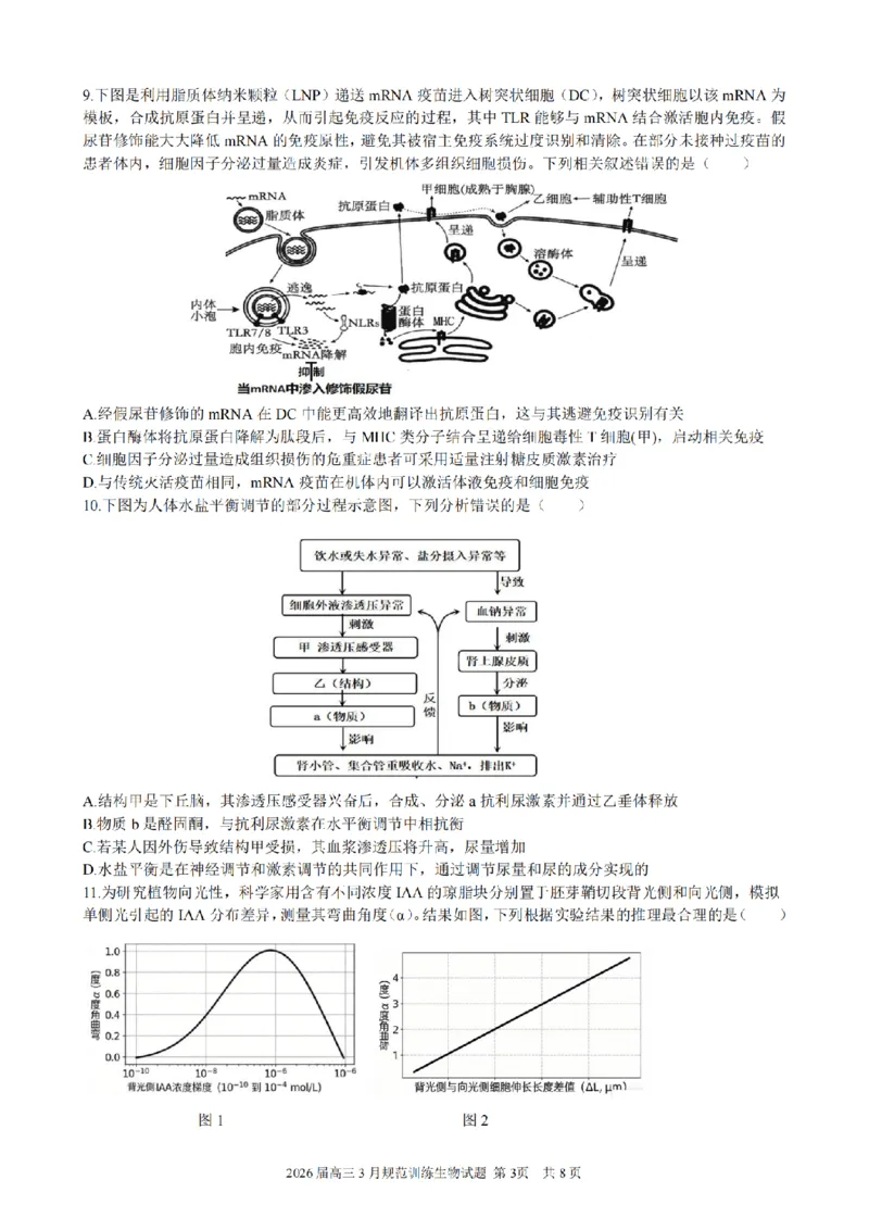 安徽省合肥市一六八中学2026届高三3月份规范训练生物_2024-2026高三（6-6月题库）_2026年03月高三试卷_260317安徽省合肥市一六八中学2026届高三3月份规范训练（全科）