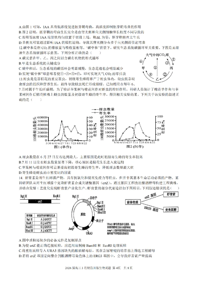 安徽省合肥市一六八中学2026届高三3月份规范训练生物_2024-2026高三（6-6月题库）_2026年03月高三试卷_260317安徽省合肥市一六八中学2026届高三3月份规范训练（全科）