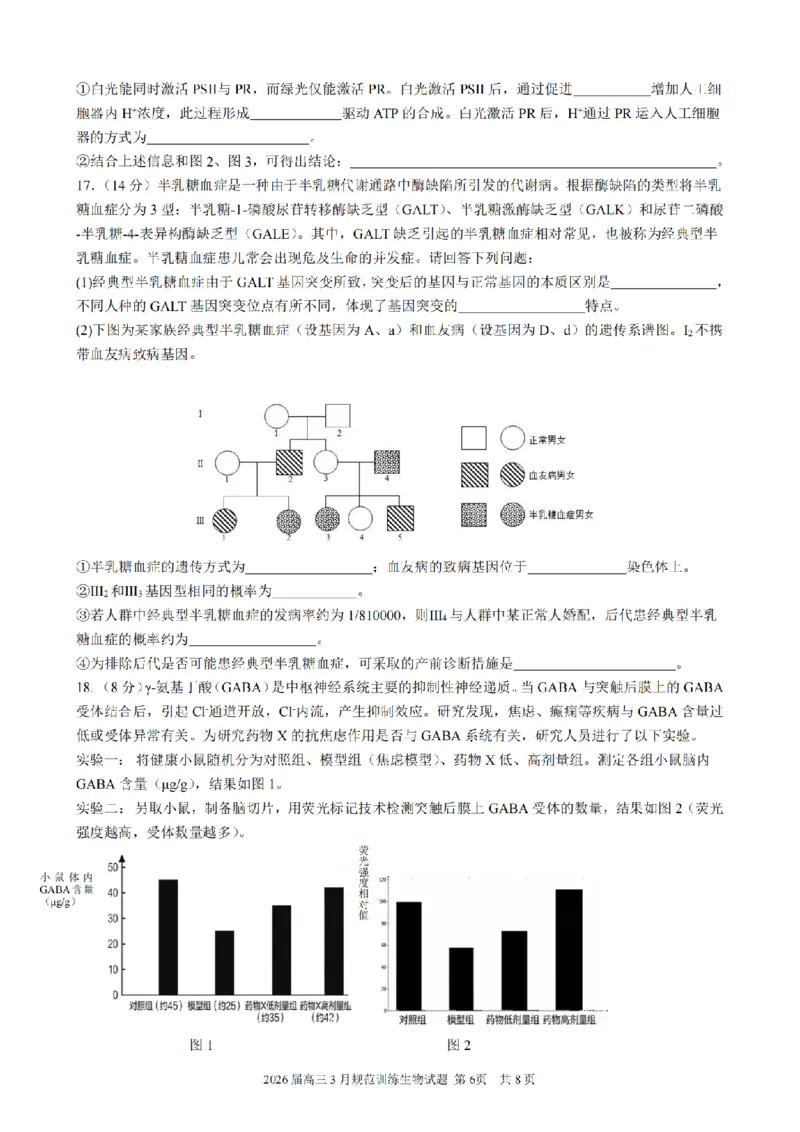 安徽省合肥市一六八中学2026届高三3月份规范训练生物_2024-2026高三（6-6月题库）_2026年03月高三试卷_260317安徽省合肥市一六八中学2026届高三3月份规范训练（全科）