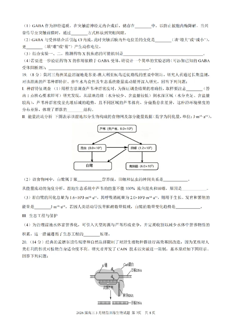 安徽省合肥市一六八中学2026届高三3月份规范训练生物_2024-2026高三（6-6月题库）_2026年03月高三试卷_260317安徽省合肥市一六八中学2026届高三3月份规范训练（全科）