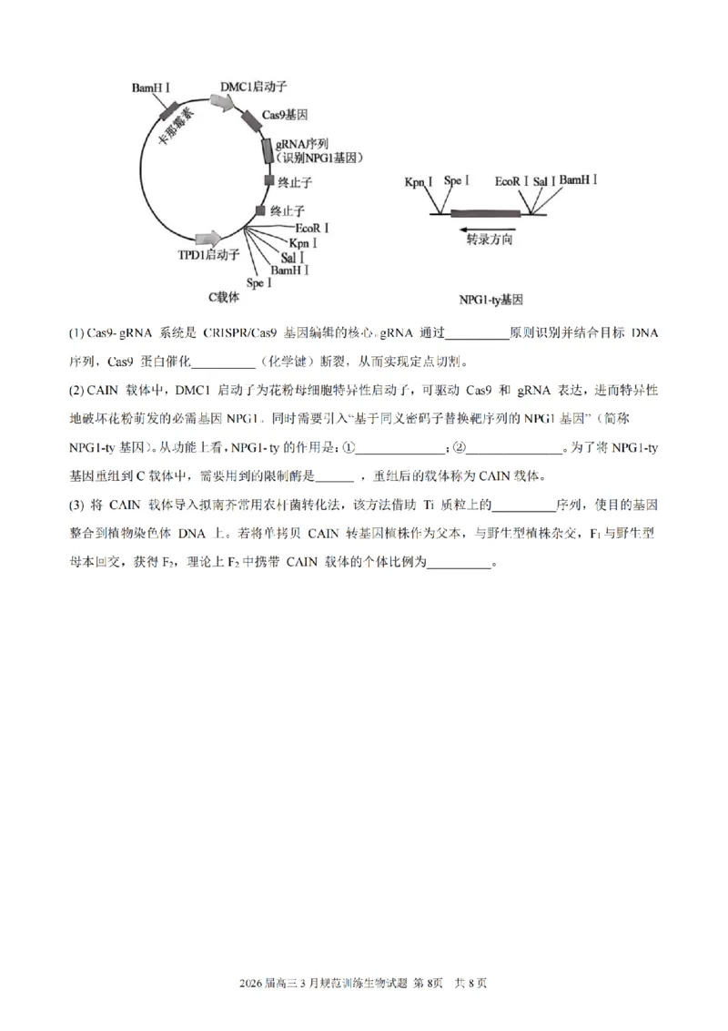 安徽省合肥市一六八中学2026届高三3月份规范训练生物_2024-2026高三（6-6月题库）_2026年03月高三试卷_260317安徽省合肥市一六八中学2026届高三3月份规范训练（全科）