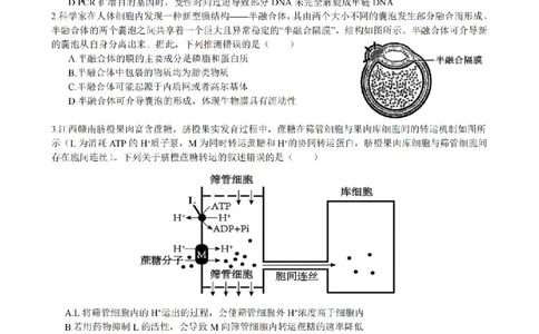 安徽省合肥市一六八中学2026届高三3月份规范训练生物_2024-2026高三（6-6月题库）_2026年03月高三试卷_260317安徽省合肥市一六八中学2026届高三3月份规范训练（全科）