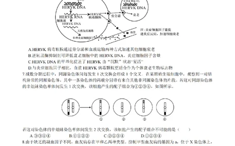 安徽省合肥市一六八中学2026届高三3月份规范训练生物_2024-2026高三（6-6月题库）_2026年03月高三试卷_260317安徽省合肥市一六八中学2026届高三3月份规范训练（全科）