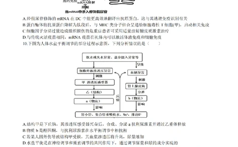 安徽省合肥市一六八中学2026届高三3月份规范训练生物_2024-2026高三（6-6月题库）_2026年03月高三试卷_260317安徽省合肥市一六八中学2026届高三3月份规范训练（全科）