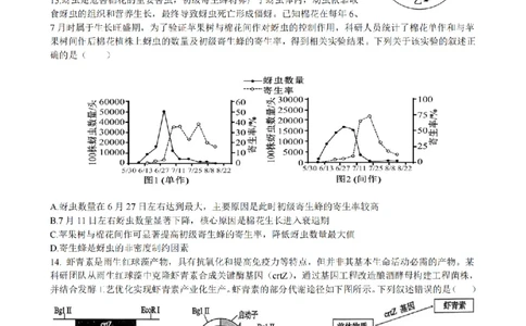 安徽省合肥市一六八中学2026届高三3月份规范训练生物_2024-2026高三（6-6月题库）_2026年03月高三试卷_260317安徽省合肥市一六八中学2026届高三3月份规范训练（全科）