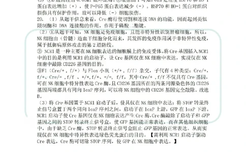 生物答案2026届泉州市高中毕业班质量检测（二）生物参考答案_2024-2026高三（6-6月题库）_2026年02月高三试卷_260203福建省泉州市2026届普通高中毕业班质量监测（二）（全科）