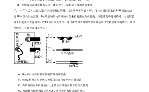 必修2遗传与进化测试卷（原卷版）_新高考复习资料_2024年新高考复习资料_❤专项复习资料_完一轮测试备战2024年高考生物按教材测试卷（新教材新高考）