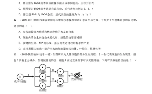 必修2遗传与进化测试卷（原卷版）_新高考复习资料_2024年新高考复习资料_❤专项复习资料_完一轮测试备战2024年高考生物按教材测试卷（新教材新高考）