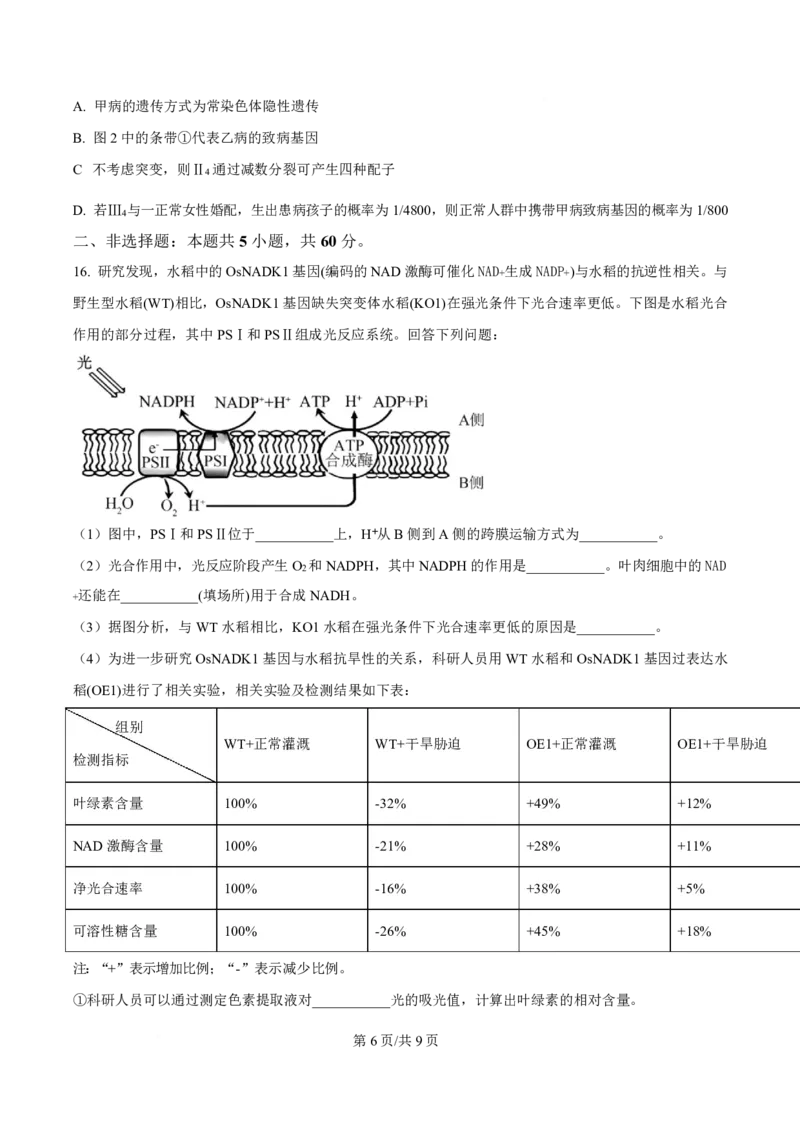 生物福建2025-2026学年高三年级下学期开学阶段性自测生物试卷（原卷版）_2024-2026高三（6-6月题库）_2026年03月高三试卷_260302福建百校2025-2026学年高三年级下学期开学阶段性自测