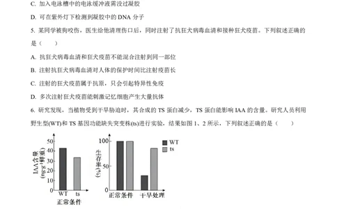 生物福建2025-2026学年高三年级下学期开学阶段性自测生物试卷（原卷版）_2024-2026高三（6-6月题库）_2026年03月高三试卷_260302福建百校2025-2026学年高三年级下学期开学阶段性自测