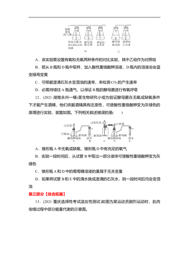 夯基提能练8ATP的主要来源&mdash;&mdash;细胞呼吸-备战2023高考生物一轮复习夯基提能练（全国通用）（原卷版）_通用版（老高考）复习资料_2023年复习资料_一轮复习