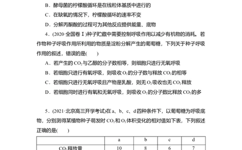 夯基提能练8ATP的主要来源&mdash;&mdash;细胞呼吸-备战2023高考生物一轮复习夯基提能练（全国通用）（原卷版）_通用版（老高考）复习资料_2023年复习资料_一轮复习