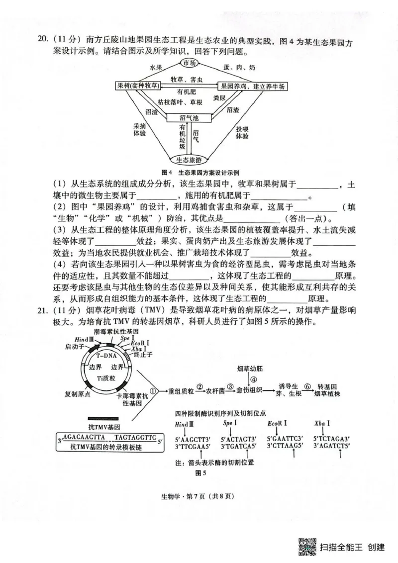 西南名校联盟2026届&ldquo;3+3+3&rdquo;高考备考诊断性联考（二）生物_2024-2026高三（6-6月题库）_2026年03月高三试卷_260323西南名校联盟2026届&ldquo;3+3+3&rdquo;高考备考诊断性联考（二）（全科）