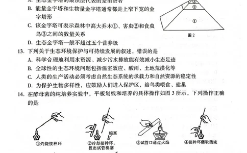 西南名校联盟2026届&ldquo;3+3+3&rdquo;高考备考诊断性联考（二）生物_2024-2026高三（6-6月题库）_2026年03月高三试卷_260323西南名校联盟2026届&ldquo;3+3+3&rdquo;高考备考诊断性联考（二）（全科）