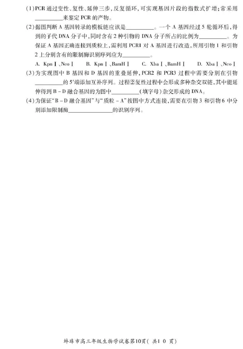 蚌埠市2026届高三年级适应性考试生物_2024-2026高三（6-6月题库）_2026年04月高三试卷_260423安徽省蚌埠市2026届高三年级适应性考试（全科）