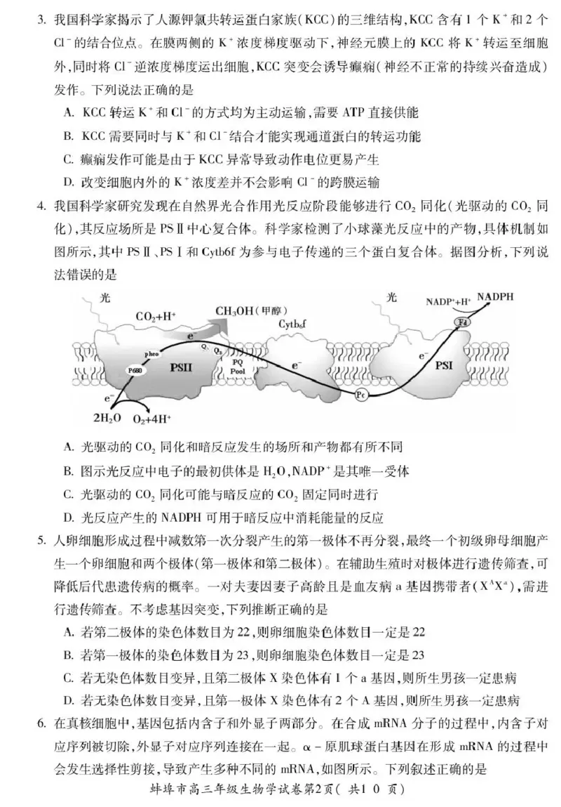 蚌埠市2026届高三年级适应性考试生物_2024-2026高三（6-6月题库）_2026年04月高三试卷_260423安徽省蚌埠市2026届高三年级适应性考试（全科）