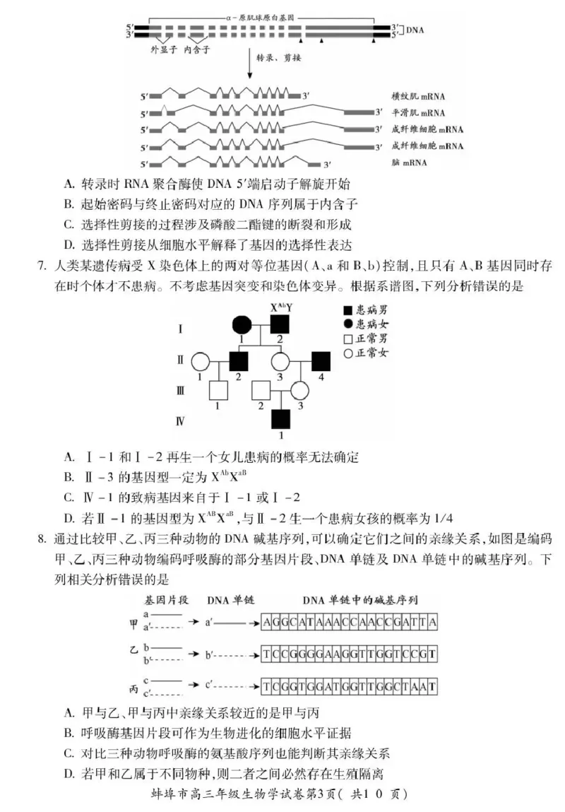 蚌埠市2026届高三年级适应性考试生物_2024-2026高三（6-6月题库）_2026年04月高三试卷_260423安徽省蚌埠市2026届高三年级适应性考试（全科）